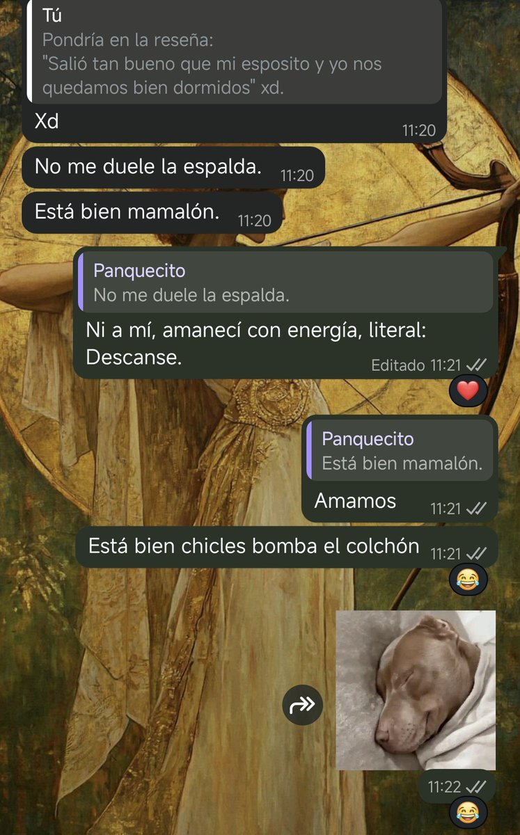 Passengr01's tweet photo. Cosas de la vida adulta que no pensé que fueran realmente relevantes en mi vida : Estrenar Colchón. 
.
#colchon #hotsale #vidaadulta https://t.co/MpoaW2sXNy