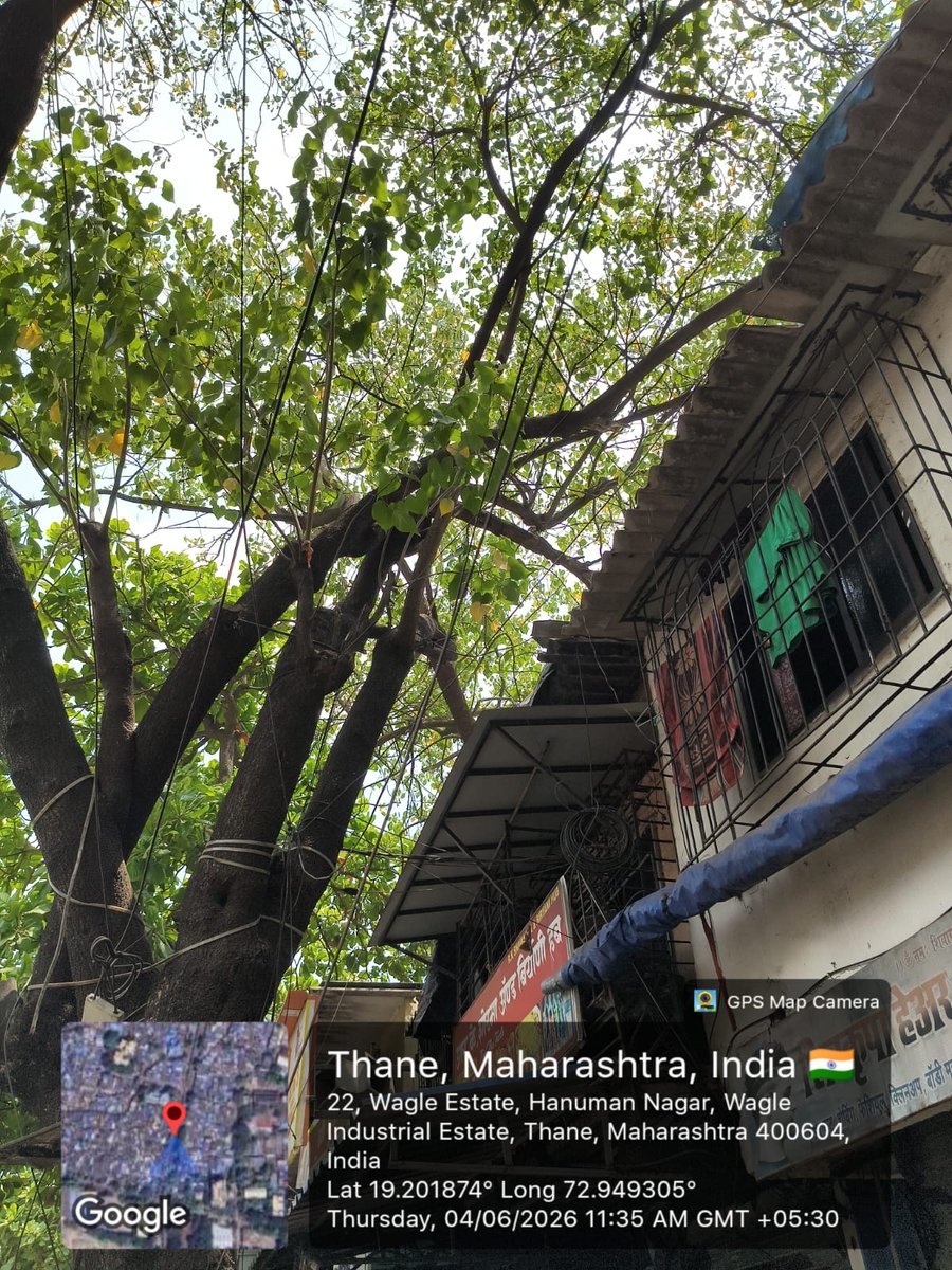 Aakash361's tweet photo. @TMCaTweetAway @MahaDGIPR मानसून की शुरुआत हो चुकी है, लेकिन हमारे इलाके में अभी तक पेड़ों की छंटाई (Tree trimming) नहीं हुई है। इससे दुर्घटना का खतरा बना हुआ है। कृपया सुरक्षा को ध्यान में रखते हुए इस पर तुरंत कार्रवाई करें। साठे नगर रोड नंबर 22 नियर उपकार डेरी। https://t.co/f52OsrXYoe