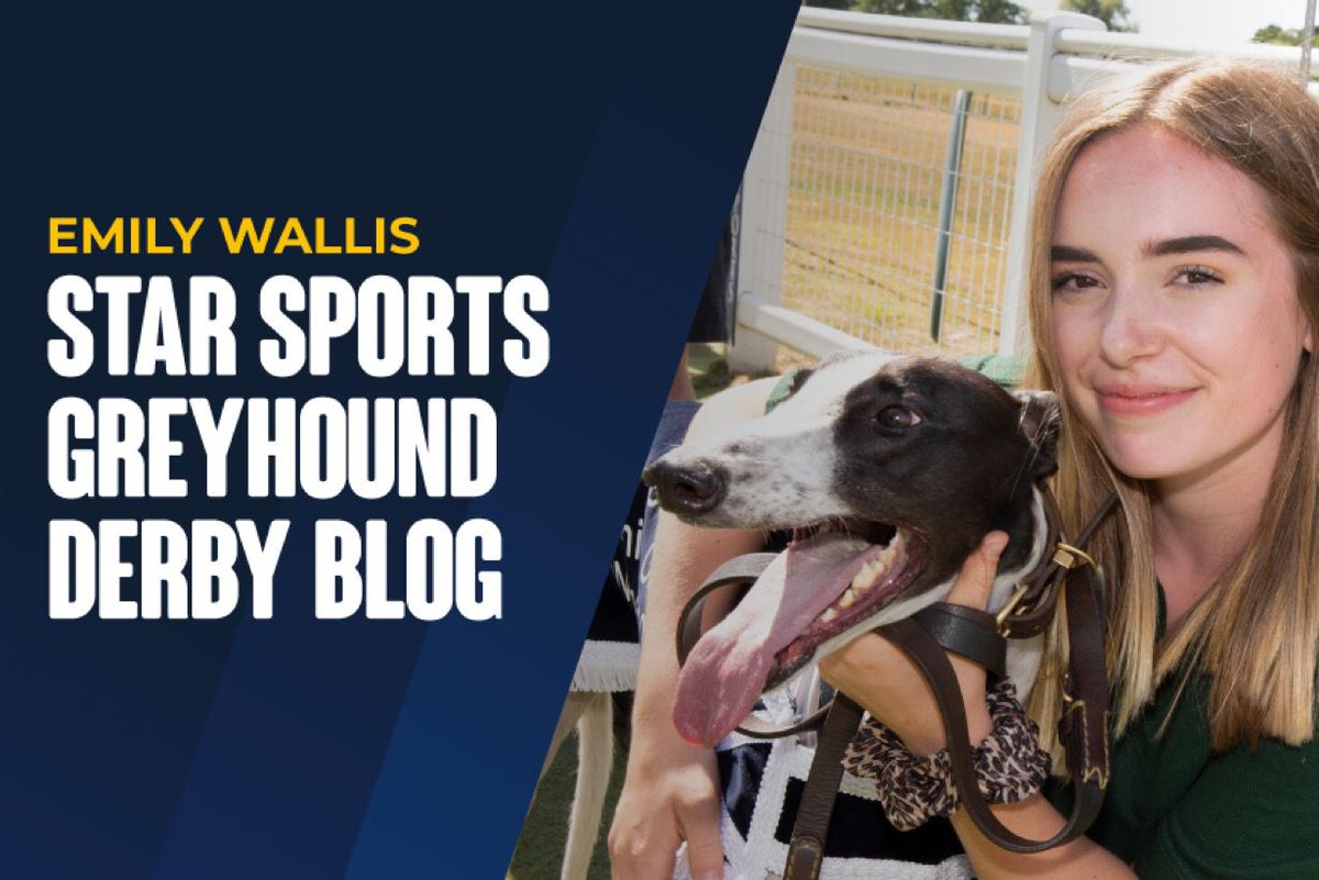 StarSports_Bet's tweet photo. The Star Sports Greyhound Derby final is just around the corner! 👀

Click below to read @Emilywalliss final blog of the #GreyhoundDerby2026, including in depth guides to the finalists... 

https://t.co/N11GzZqU8g

18+ | GambleAware https://t.co/fHR2mNtAsH