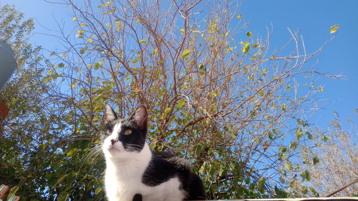 JR18L_'s tweet photo. @sbzomer My son 😍 https://t.co/fUCqgcIFyT