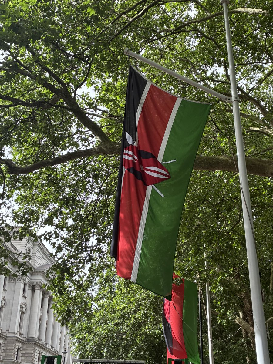 VickyPorter_UK's tweet photo. Nice to be back in London accompanying a Kenyan delegation. Beautiful sights on the Mall this morning ahead of the Colonel’s Review this weekend. There was only one flag I needed to hunt down… 🇰🇪 https://t.co/TmJZpSYVlU