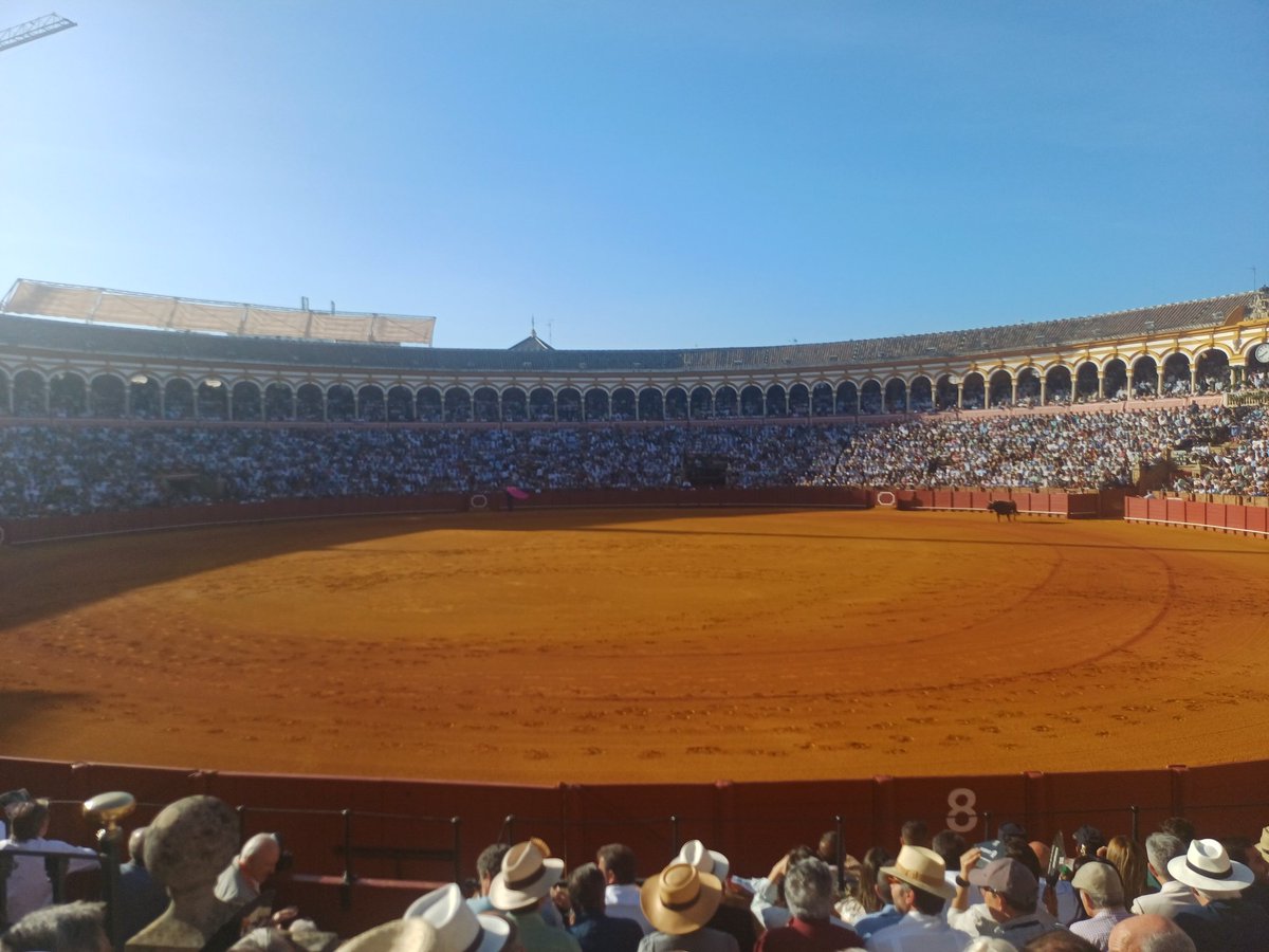 CurroLimon's tweet photo. Al lío del Montepio https://t.co/JpcdsQBnhT