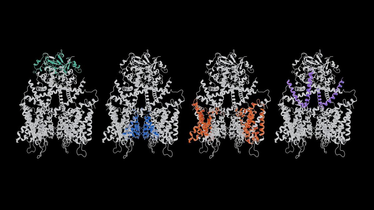 biohub's tweet photo. ESMC didn't learn protein biology from a textbook. It learned from 2.8 billion sequences—the full evolutionary record of what works in nature. That's what a world model of protein biology looks like. 

Download the model and start building: https://t.co/FQ9JObZv6F https://t.co/fjuZhXXo19