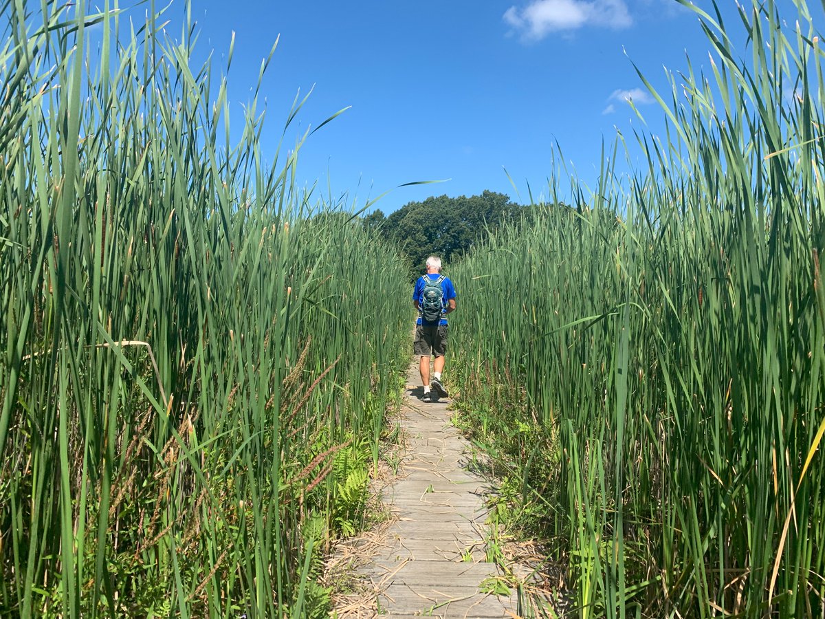 MilesPerHoward's tweet photo. We are less than 72 hours out from the launch of the new trail that encircles the City of Boston, passing through forests, wetlands, beaches, hidden stairways, industrial territory, and much more. The trail goes live this Saturday morning, June 6th, and I can't wait to unveil it. https://t.co/X9aLWbkrNh