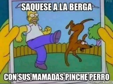 Roderico71's tweet photo. @KamaleonconK_MX https://t.co/jXCztg7UH4