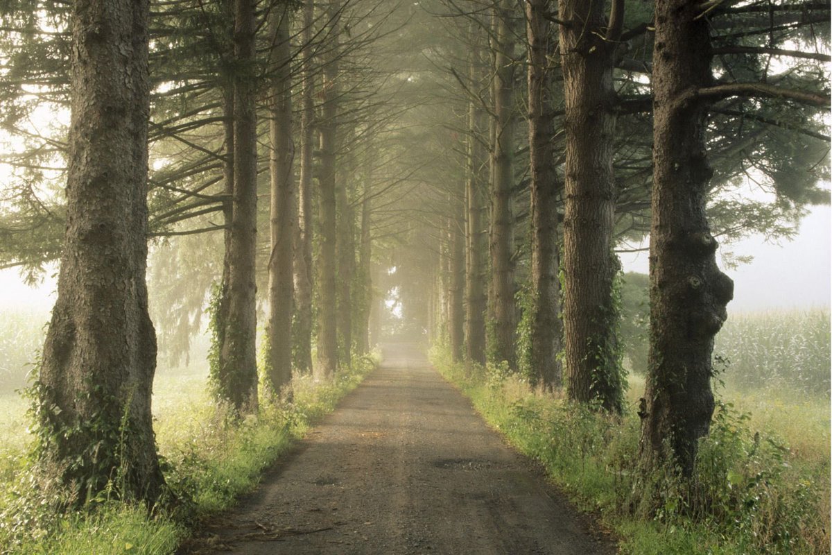 lief04041932's tweet photo. @barry_lorrie A backroad for you!❤️👋😀 https://t.co/M4WFu83ecP