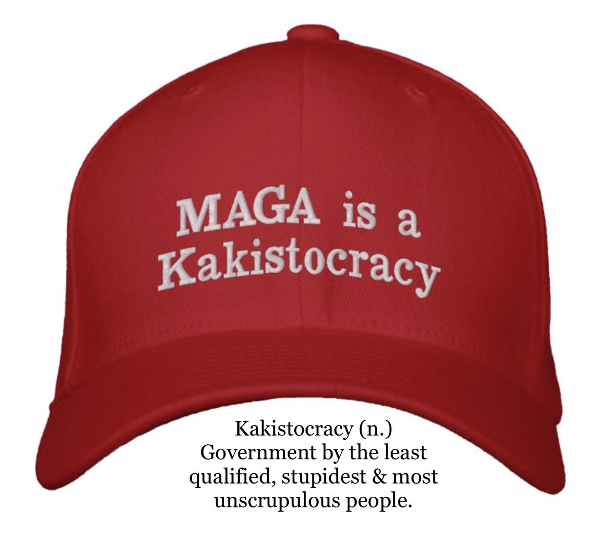 carolyn_from's tweet photo. @marceelias @AntiToxicPeople Kakistocracy at work. 🤦‍♀️ https://t.co/NDVoA88vYc