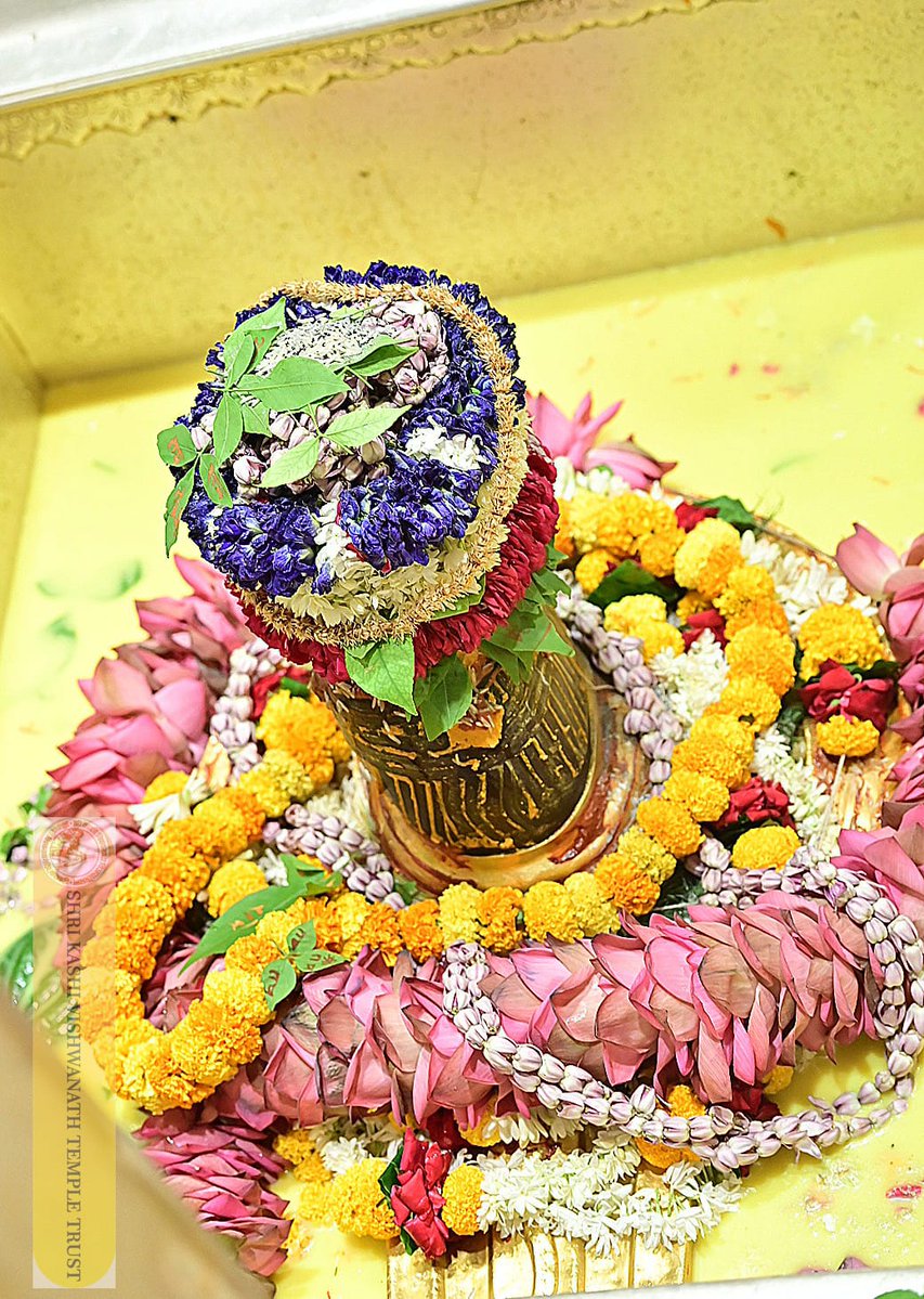 ShriVishwanath's tweet photo. श्री काशी विश्वनाथ जी की सप्तऋषि आरती I
#kashivishwanath #kashi #hindu #sanatandharm https://t.co/vSUpHuZnCd