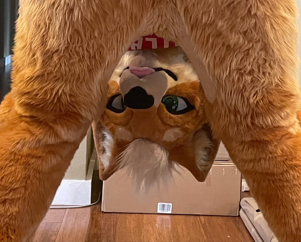 SheebTv's tweet photo. I had a cool ass dream where I was skiing in my fursuit and I ran into my irl friends who don’t know I’m a furry. They all thought it was the coolest thing and said how awesome fursuits were and now I’m sad that it wasn’t real because acceptance sounds nice lol. Maybe one day. 🐕 https://t.co/RowWwrEII1