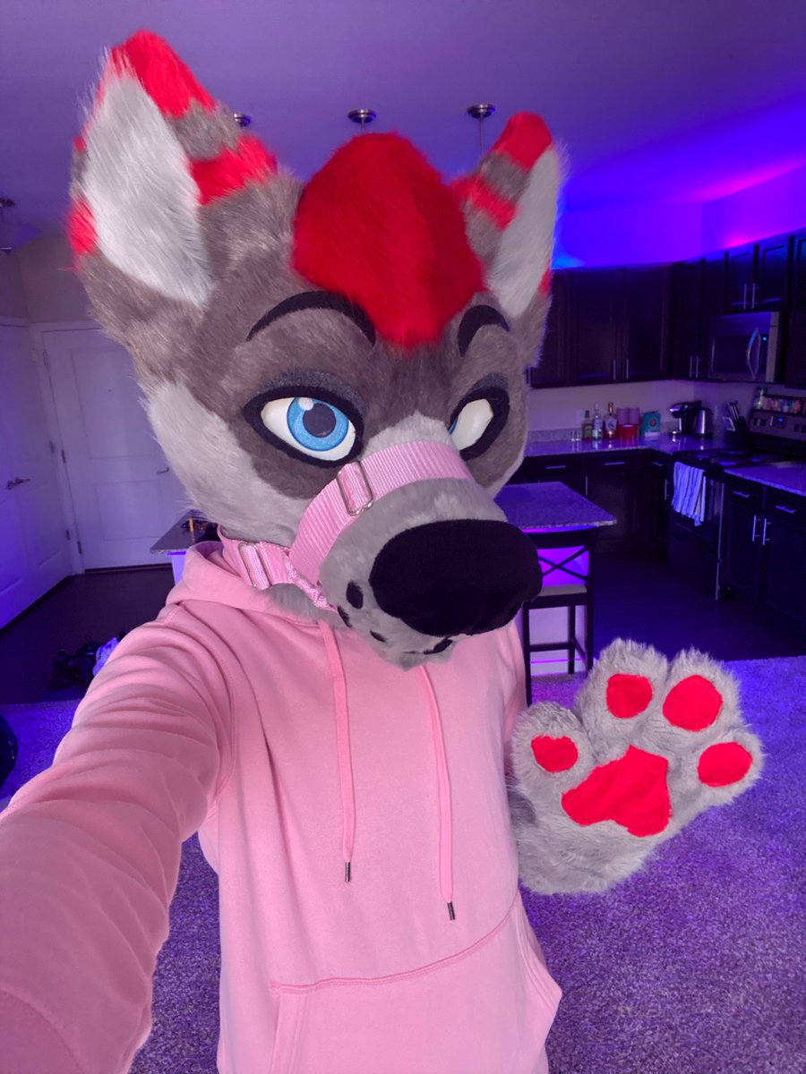 DayzerHusky's tweet photo. 💙💜🩷 Proud 🩷💜💙

#bisexual https://t.co/XYYWcagULI