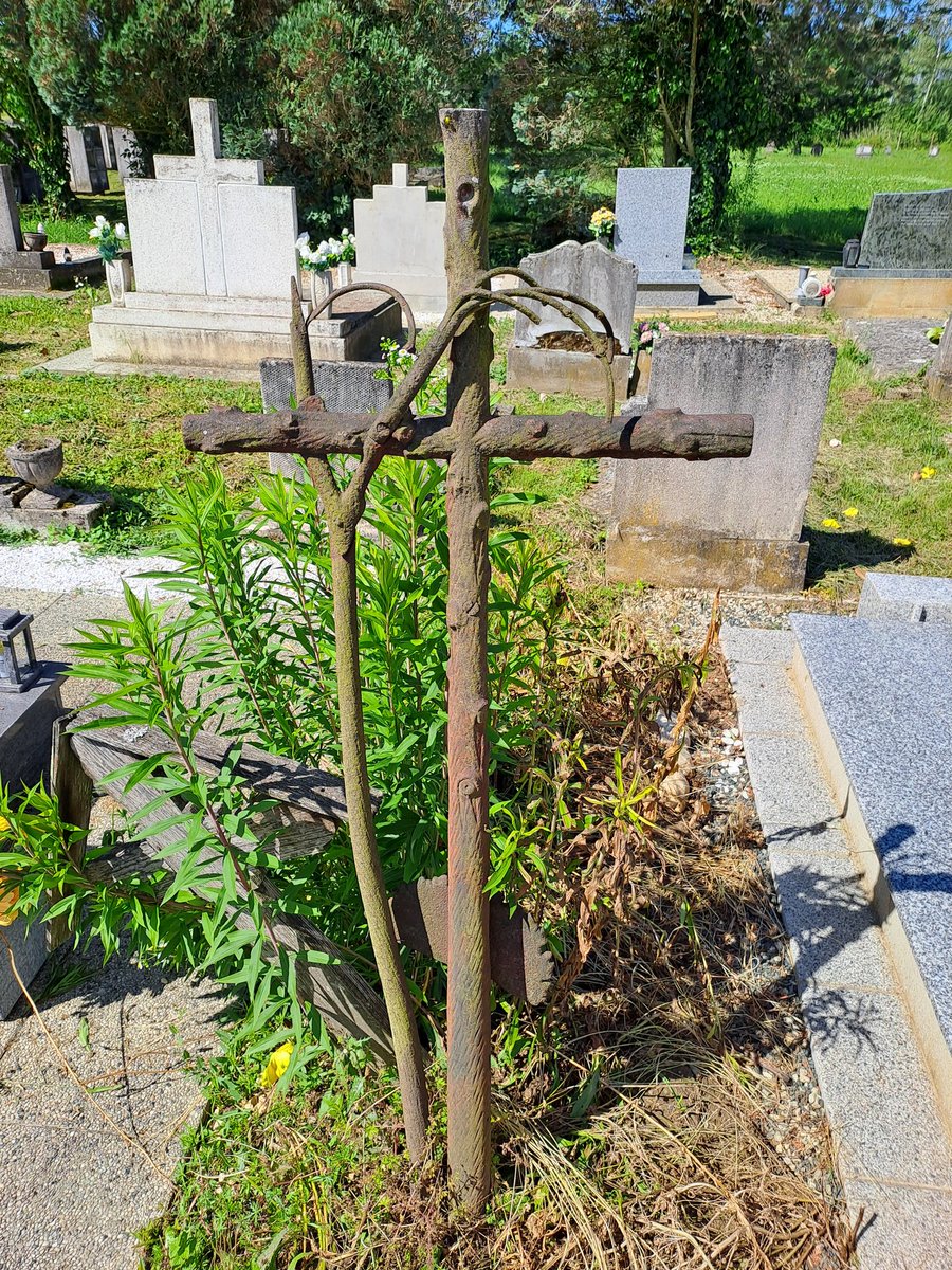 Bochcore's tweet photo. Found this tree shaped wrought iron memorial cross today, while mowing the lawn at the cemetery https://t.co/O5UUuk2Cla