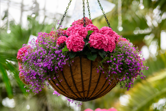 hooksandlattice's tweet photo. Our own Brandon McCormick is sharing insights again. This time, on how to make outdoor spaces more inviting and summer-ready.

Not sure where to begin with your refresh? Discover seven thoughtful ways to prepare your outdoor space for summer. https://t.co/BDukzYQDjs https://t.co/96OFGwR6pF