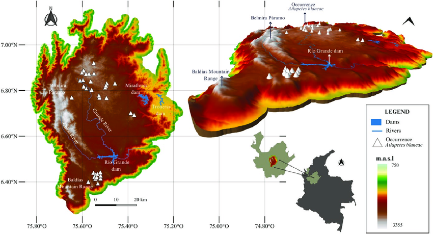 VanguardiaAP's tweet photo. Pocos lo saben pero en todo el centro de Antioquia hay otro altiplano, de similar elevación al Cundiboyacense.

El Altiplano de Santa Rosa de Osos queda justo al norte de Medellín, a menos de 180km de DOS OCEANOS.

¿Y si construimos una nueva metropolis aquí arriba? https://t.co/i1JnsZ5EXU