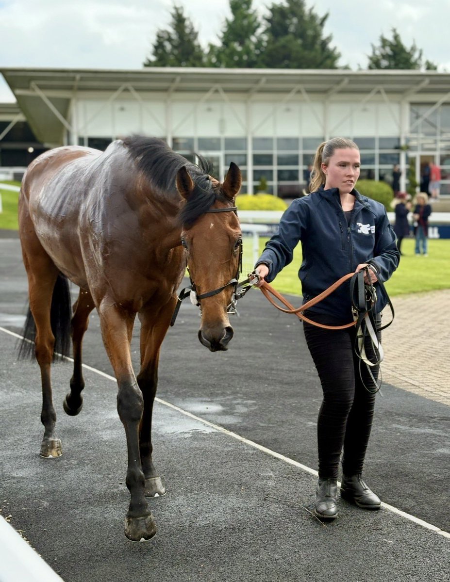 FluffyPickle's tweet photo. Ciao Capo a winner for @RichardFahey x https://t.co/bjm3YcFnoy