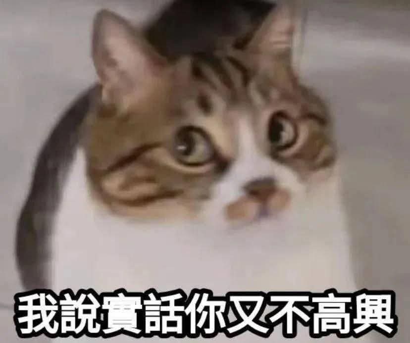 _Aocta's tweet photo. 🐈：那你覺得真的要結束嗎？
：結束什麼？戀愛關係的開始？
🐈：我要跟你分手
：我們還沒交往
🐈：我要跟你有白紙黑字的關係
：那就是結婚了吧 https://t.co/MGpDiRtWR3