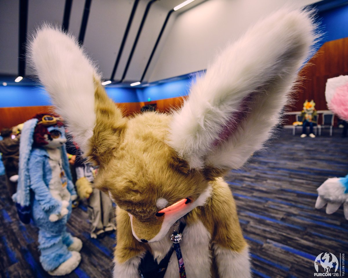 Kitzen_Waffles's tweet photo. So I've heard

📸:@tullembrat https://t.co/s6tM6ys1XP
