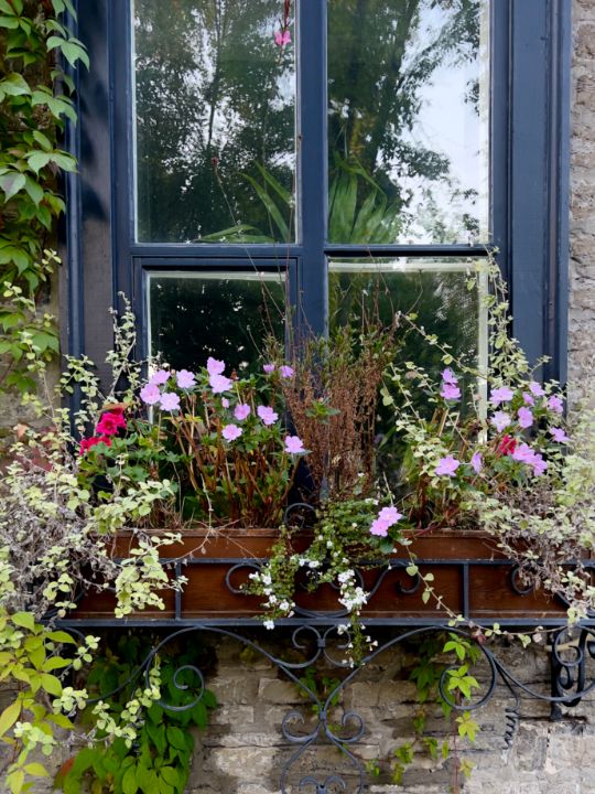Capsurlart's tweet photo. Art of the Day! "Flowery window sill". Buy at: https://t.co/SaZEFSFtOU https://t.co/CV7wfbbE7Y