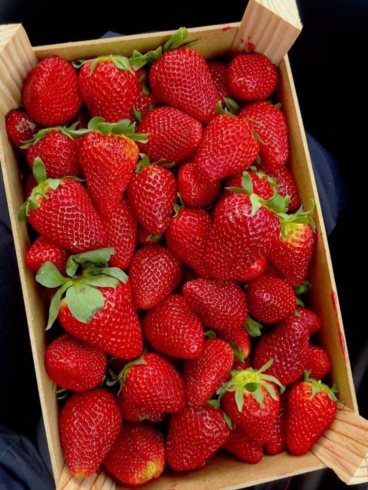 natureinspai45's tweet photo. What is this fruit called in your country ? https://t.co/TVeSz7fjv9