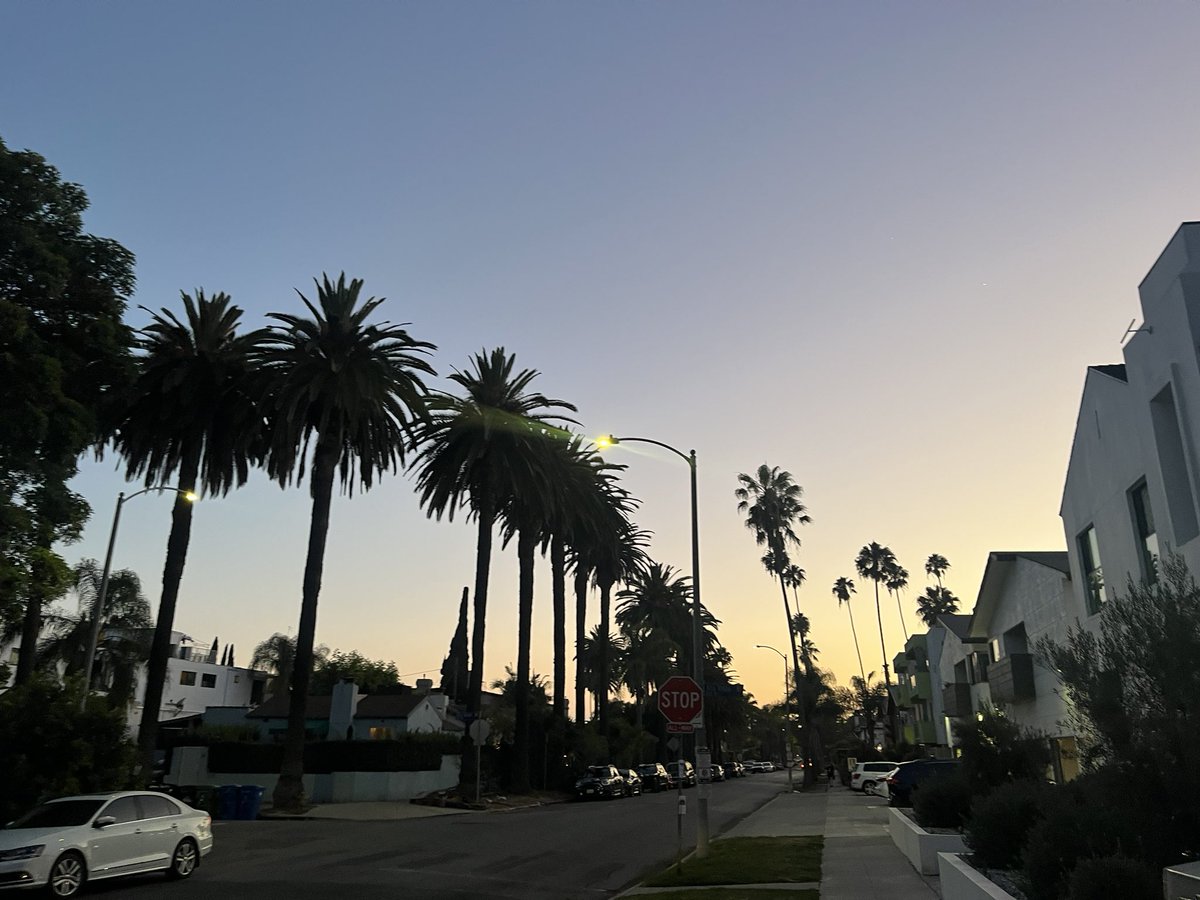 daniskiwis's tweet photo. on melrose https://t.co/kfWHMKtwKh