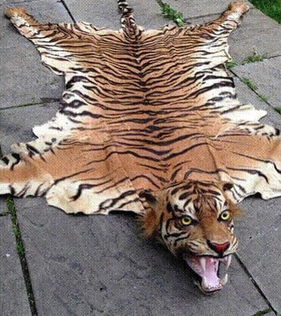 PrinceLFG's tweet photo. @WARTIMEGENERAL @tigerCryptoG0d 🤷‍♂️ https://t.co/9lPrAHqgBy