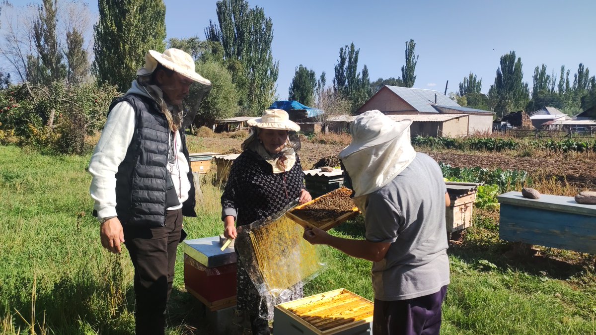 HaoliangXu's tweet photo. Ahead of Friday's #WorldEnvironmentDay, from Samoa to Bolivia, Haiti &amp; Kyrgyzstan, women are leading transformative change through beekeeping.

See how @UNDP is supporting communities &amp; livelihoods and protecting biodiversity for a healthier planet.

https://t.co/lmc0jnavw2 https://t.co/ahmbcK642Q