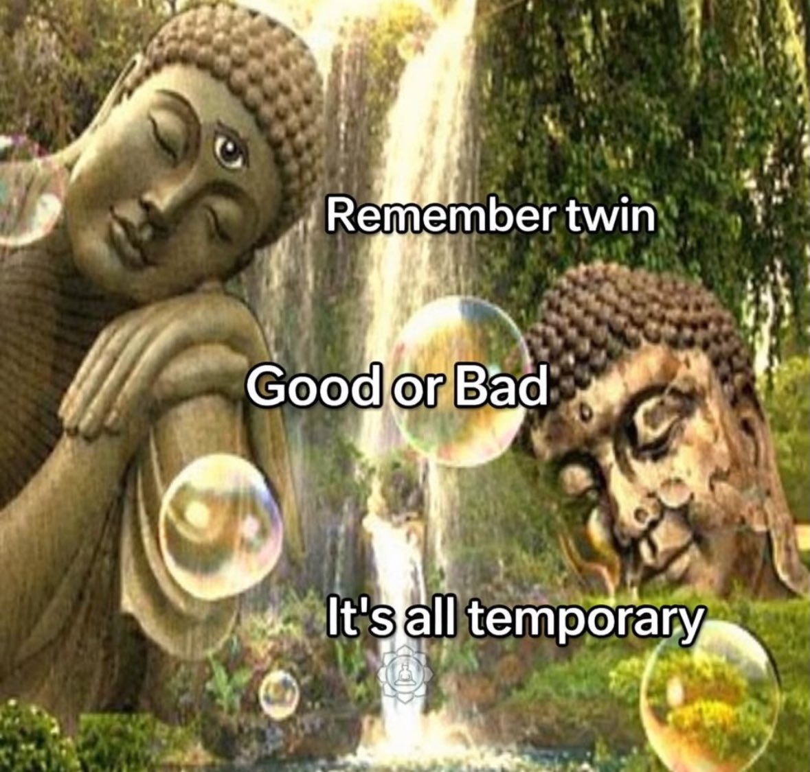 purplewitchtt's tweet photo. https://t.co/e3B3NEvR0Q