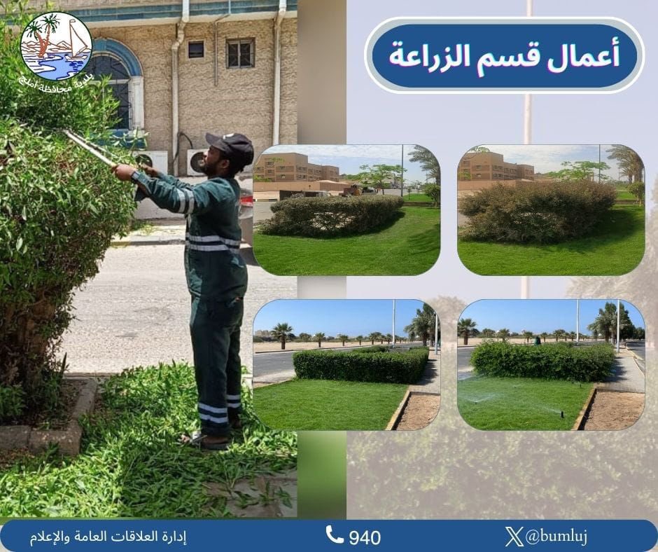 bumluj's tweet photo. قسم الزراعة في بلدية محافظة أملج يقوم بأعماله الدورية في تهذيب الأشجار والعناية بالمسطحات الخضراء ، بهدف تحسين المشهد الحضري والمحافظة على المظهر الجمالي للحدائق والطرق العامة ، بما يسهم في توفير بيئة حضرية جاذبة ومريحة للسكان والزوار . 

#بلدية_محافظة_أملج 
@Momah_SA https://t.co/OwiAMqR4lJ
