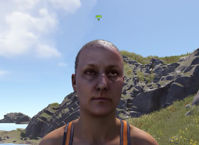 lilrezh's tweet photo. bro come on 😭 @Alistair_McF @playrust https://t.co/wtLP7SL5vZ
