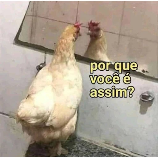 sayinguso's tweet photo. foda q psicolog é caro https://t.co/QmFzL56kvr