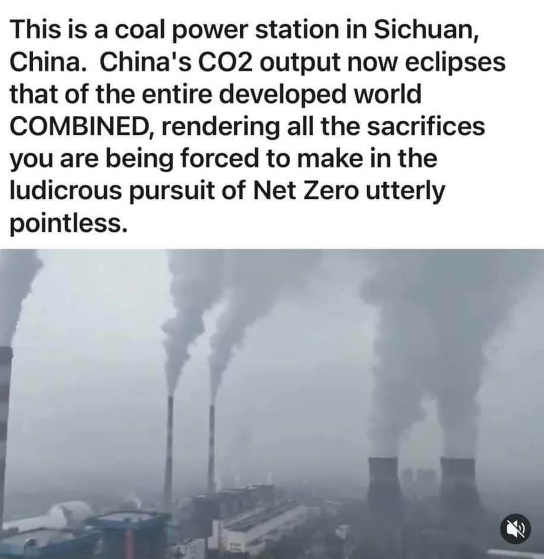 kennethdarby17's tweet photo. @GerhardLenz Everything with green in its title is a scam! https://t.co/Nv0uJtXkY1
