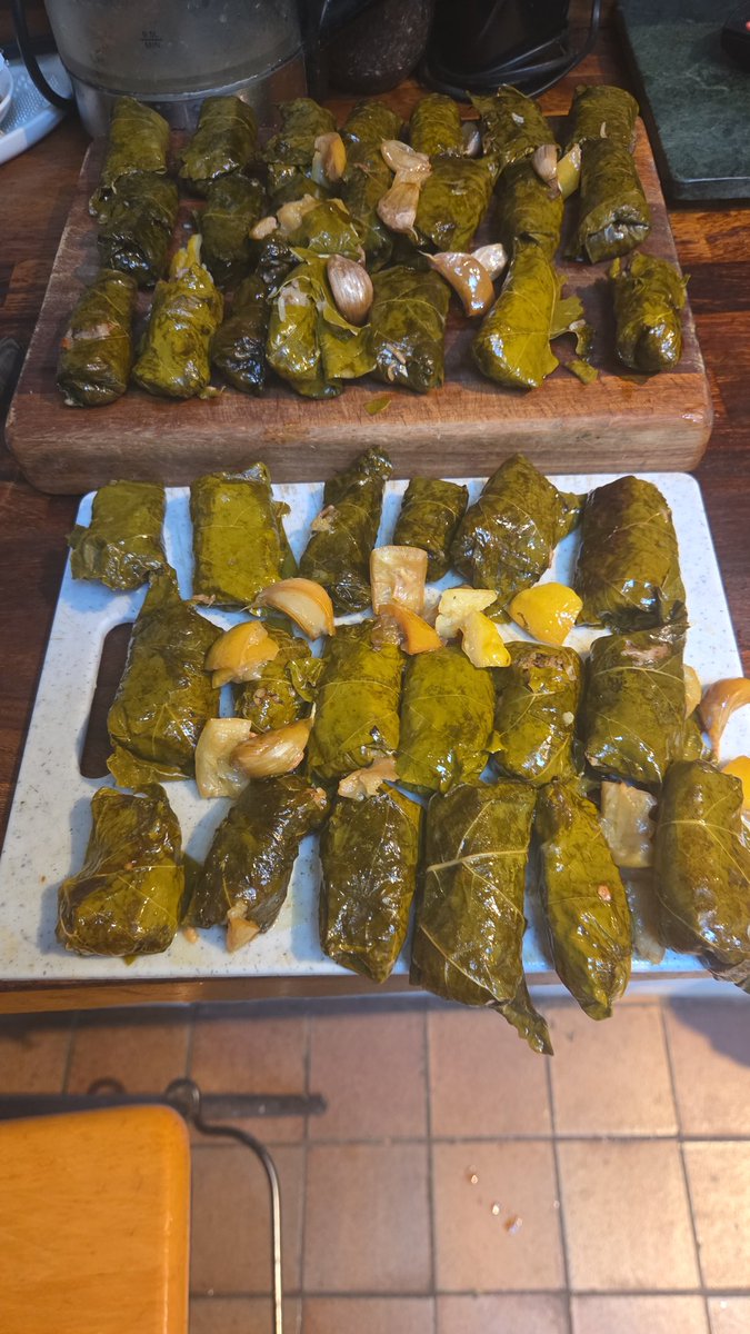 MikeInBrixton's tweet photo. Today was a day for picking vine leaves and stuffing them https://t.co/B02vWfR5r6