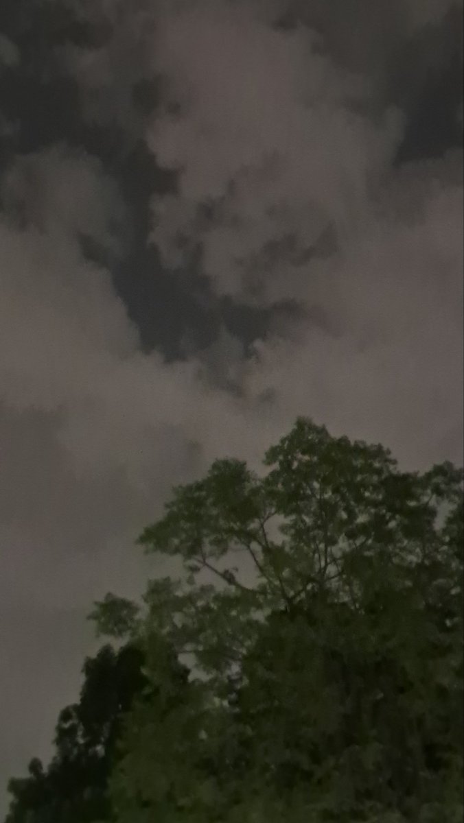 lightseekerusha's tweet photo. Beneath drifting clouds and quiet trees, the night reminds us that even the heaviest thoughts eventually move on. 🌙☁️🌿
#NightSky #NatureDiary #NaturePhotography #QuietMoments #Cloudscape #EveningReflections https://t.co/OdIqjekLv6