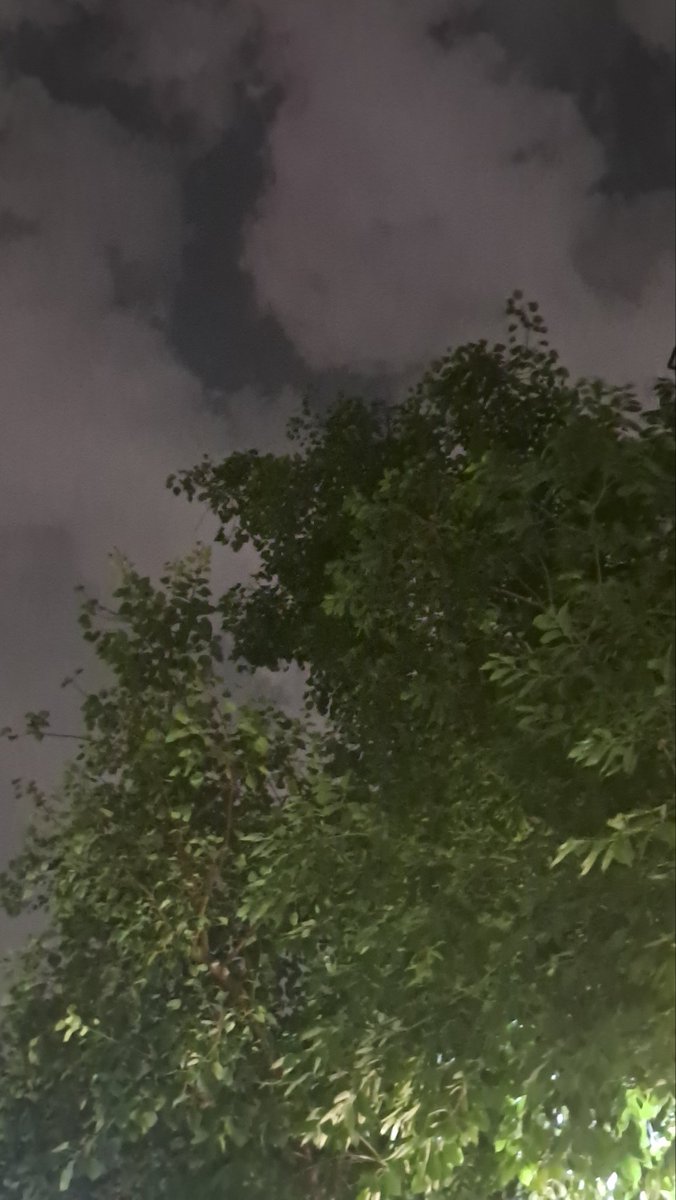 lightseekerusha's tweet photo. Beneath drifting clouds and quiet trees, the night reminds us that even the heaviest thoughts eventually move on. 🌙☁️🌿
#NightSky #NatureDiary #NaturePhotography #QuietMoments #Cloudscape #EveningReflections https://t.co/OdIqjekLv6