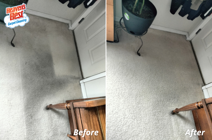 HBKalispell's tweet photo. Sometimes, vacuuming just isn't enough, and looking at your dirty carpets can become daunting and stressful! Heaven's Best specializes in a deep clean that will last - if we clean up a stain, we guarantee it will not return! Call (406) 837-5550 for a free quote! https://t.co/r9aea5kwBs
