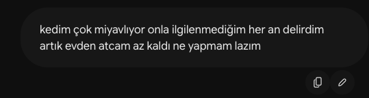 isrfktn's tweet photo. çaresizim çaremsin ai https://t.co/wiE5Ha26VR
