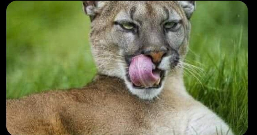 switveja's tweet photo. @big_benita Ingubo bby😏😏 https://t.co/MTX1togyhD