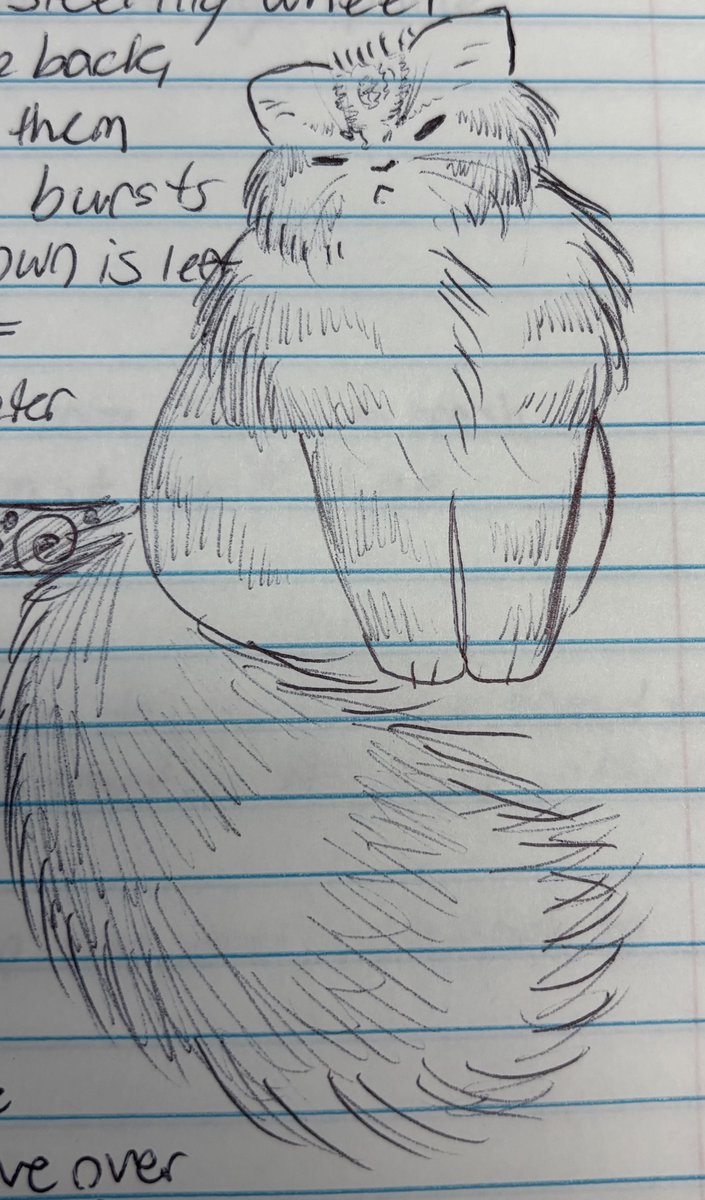 0fficialM0thman's tweet photo. Doodlemaxxing https://t.co/t5zv0OQvPE