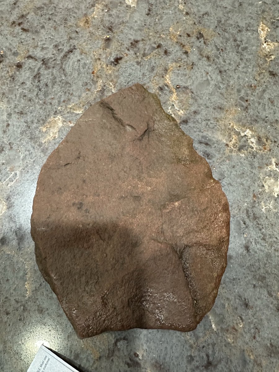 HeatherSob's tweet photo. I found this down by the creek.  It has a serrated edge. I wonder if this was once a tool https://t.co/f0vIYscAWH