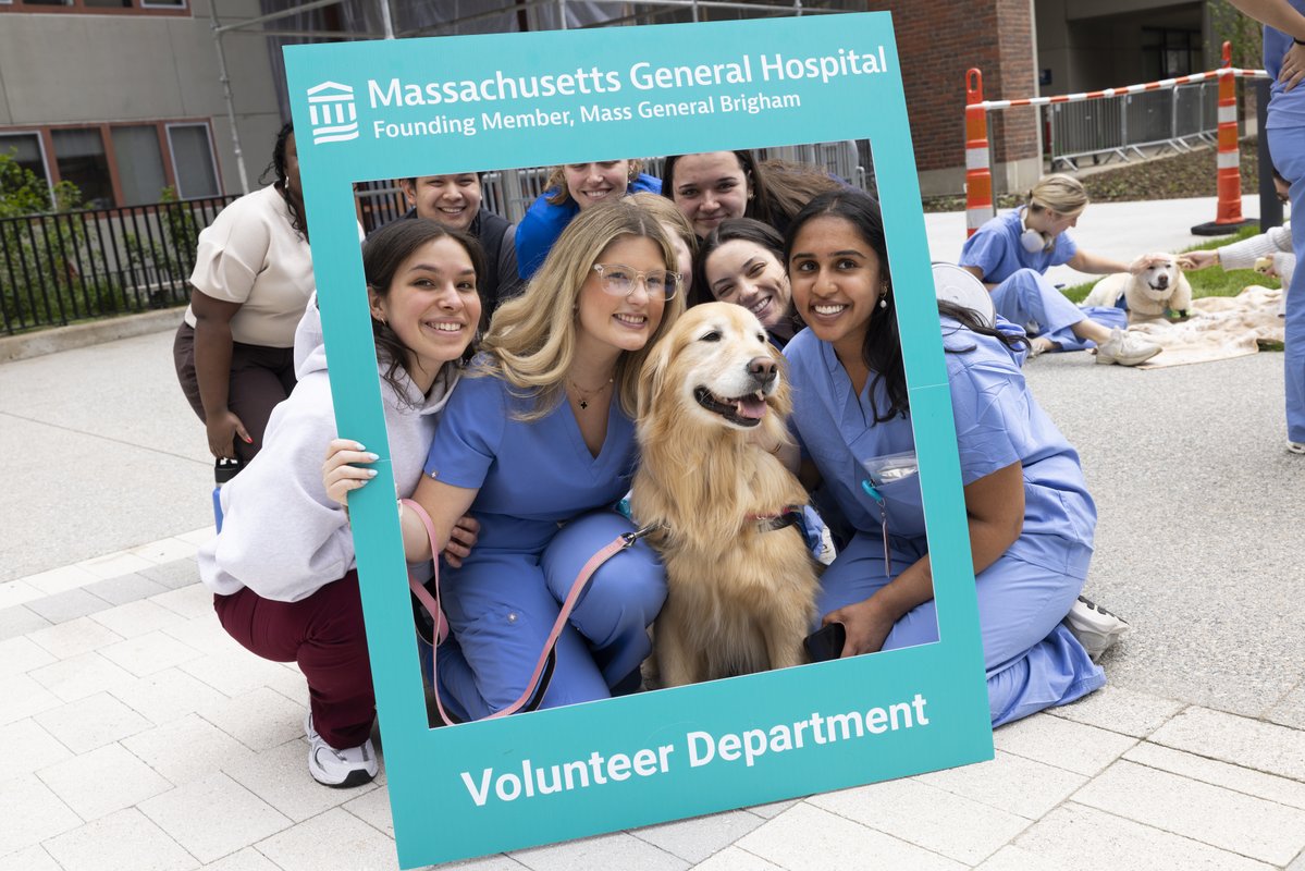 MassGeneralNews's tweet photo. 🐾 We recently celebrated our incredible Pet Therapy and Facility dogs! Their visits bring comfort and smiles to patients, families and staff across the hospital. 💙🐶 https://t.co/BoY4bdHHiR