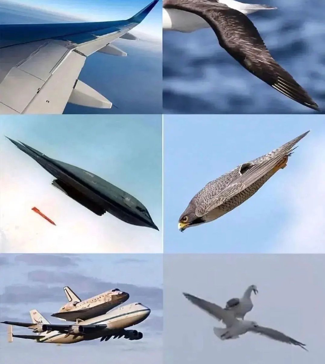 engineers_feed's tweet photo. Inspired by nature https://t.co/Wiz47BQIN1