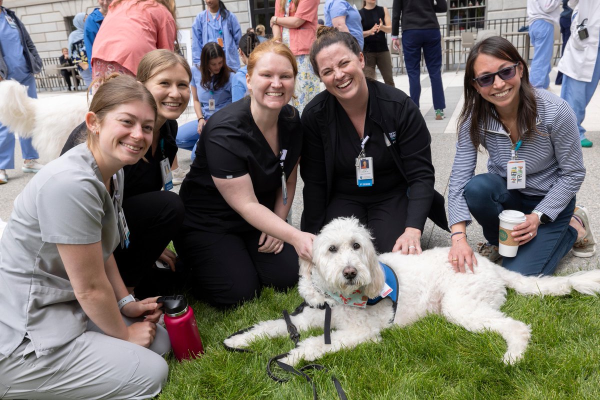 MassGeneralNews's tweet photo. 🐾 We recently celebrated our incredible Pet Therapy and Facility dogs! Their visits bring comfort and smiles to patients, families and staff across the hospital. 💙🐶 https://t.co/BoY4bdHHiR