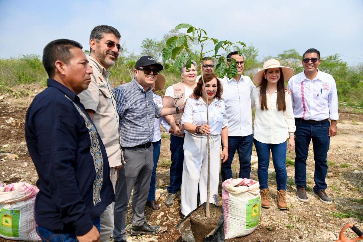 comunica_unach's tweet photo. El rector Oswaldo Chacón Rojas participó en la Jornada Estatal de Reforestación en Berriozábal, sembrando árboles endémicos en el predio de la futura sede de la Facultad de Estudios Multidisciplinarios de la UNACH, como parte de las acciones en favor del medio ambiente. https://t.co/RCJlFMC4fq