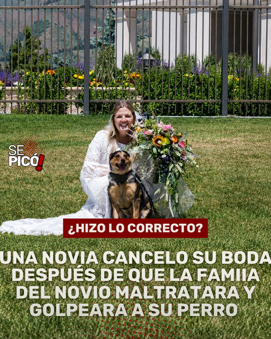 Mario Hernandorena tweet media