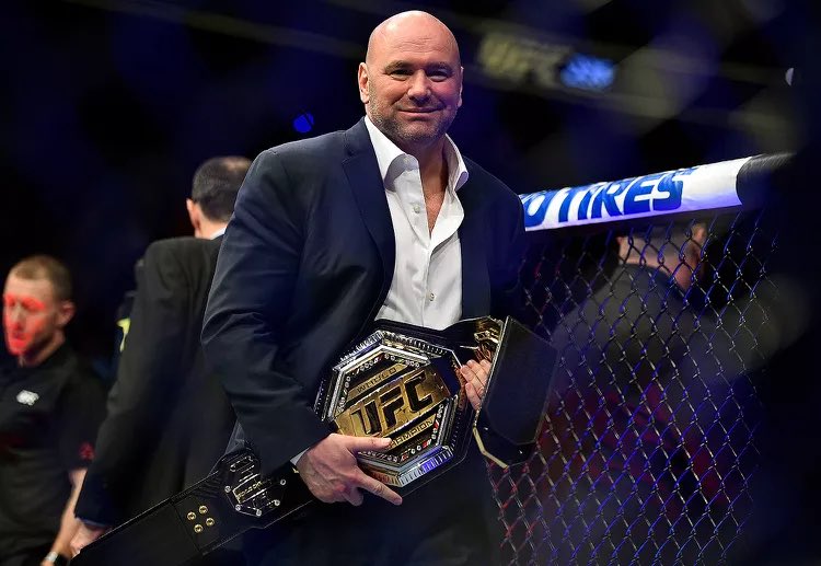 Based Octagon Report tweet media
