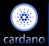 CriptoMeta's tweet photo. The worst asset one can have. 

Ainda bem que me desfiz dessa porcaria há anos. 

#cardano #ada #cripto https://t.co/C3ufLLqHZ9
