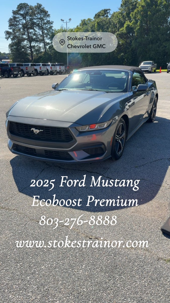 JeffRoberts2117's tweet photo. 🔥🔥🔥🔥
2025 Ford Mustang Ecoboost Premium Convertible 
Just in time to top the top and get some sunshine 🌞 
One owner, clean CarFax, 2.3L 35,548 miles 
Come see it! 
803-276-8888
https://t.co/o8pUJK56FE https://t.co/oXFmlFf0dS
