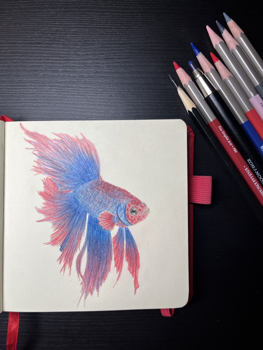 katia_vision's tweet photo. Бульк 🐟 https://t.co/yDNYTwOkLi