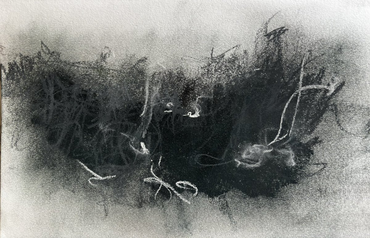 Becca3Artach's tweet photo. The #dailysketch #sketchbook #charcoal #oilpastel https://t.co/QSGJD8hX5S