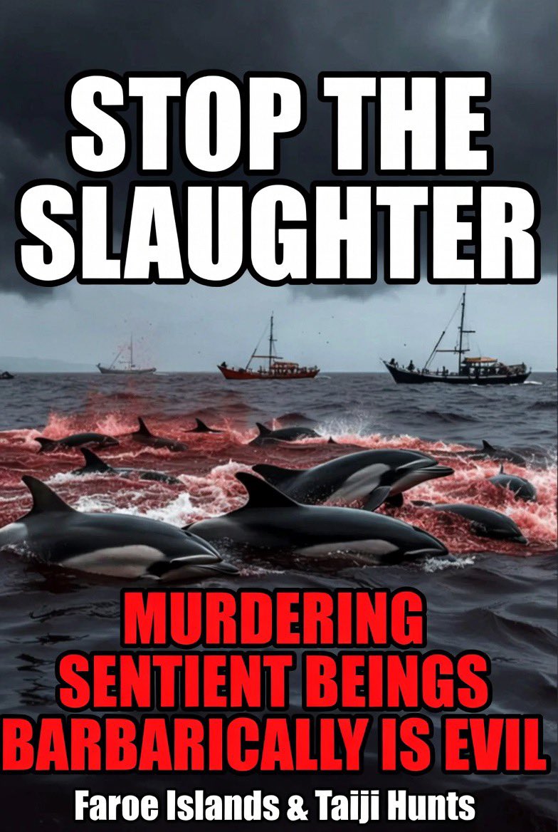 Xbrvi's tweet photo. #FAROEISLANDS #TAIJI #JAPAN #STOPtheSLAUGHTER https://t.co/rXbPs1hRuz