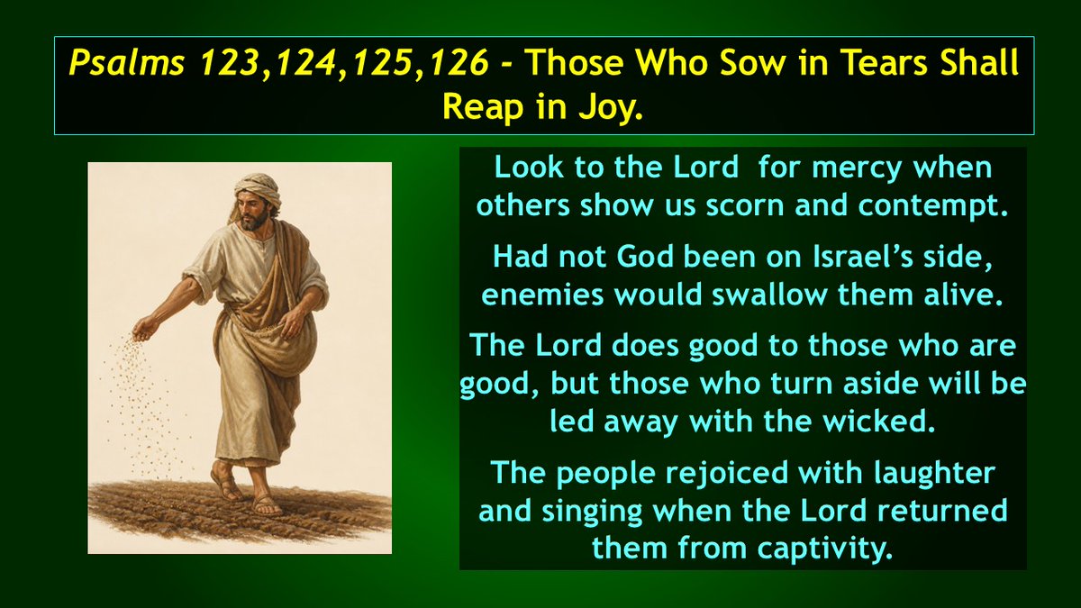 Bible_Lessons's tweet photo. Those Who Sow in Tears Shall Reap in Joy.

Where should we turn for help when people ridicule and show contempt for us? What assurance do we have that we can endure the problems and mistreatments of life without sinning? 

Video Bible Study at
https://t.co/2DffbdjBTO https://t.co/WCWYGedpXS